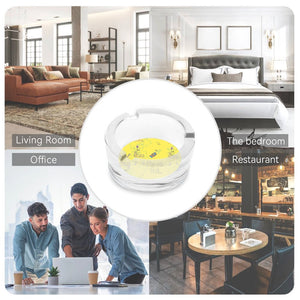 839. Glass Ashtray