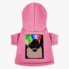 818. Pet Hooded Suit