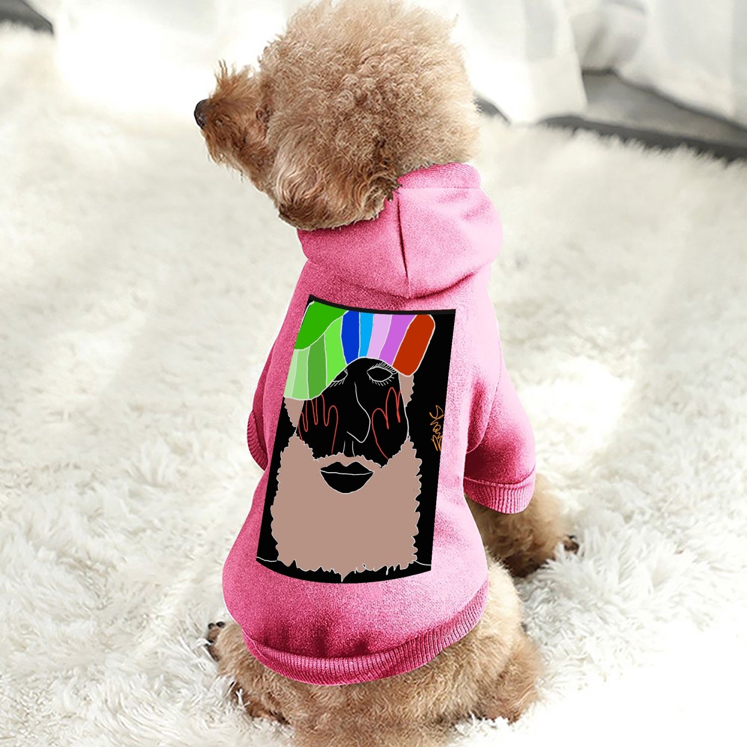 818. Pet Hooded Suit