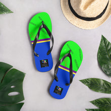Flip-Flops